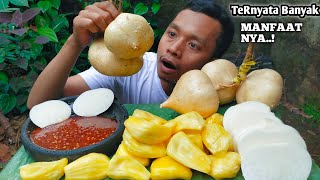 MUKBANG RUJAK BUAH NANGKA + BENGKOANG || ASLI MANFAATNYA LUAR BIASA. #asmr #rujakbuahsegar