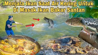 Mencari Ikan Gabus Di Rawa Yang Kekeringan Untuk Di Masak Santan