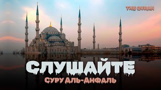 Слушайте Суру Аль-Анфаль (Трофеи) - Шейх Ибрахим Джибрин