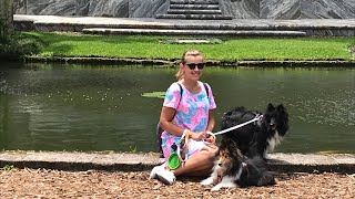 An Adventure to Bok Tower Gardens With My Dogs