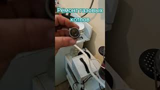 Ремонт газовых котлов 46-24-04  #2024 #газовик #shortvideo #рек #рекомендации #чебоксары #юмор #