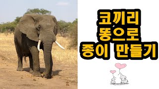 코끼리 똥으로 종이 만들기 #초등학교 4학년 1학기 과학(4. 혼합물의 분리)