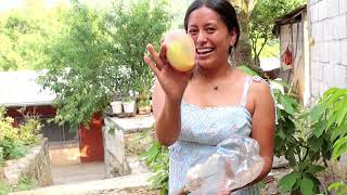 Cortando mangos de Ixtle en casa de doña Mary. 😋🥭👌