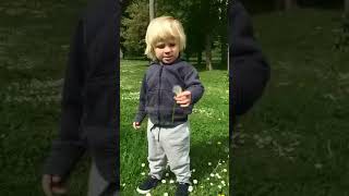 Boris Johnson Cannot Blow a Dandelion