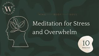 10 Minute Meditation for Stress and Overwhelm |Soothing and Grounding|