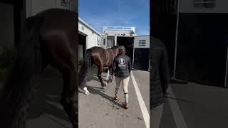 When your horse knows the final curtain call means it's time for home sweet home! #horse #equestrian