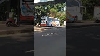 Bus Harapan Jaya & Rosalia Indah