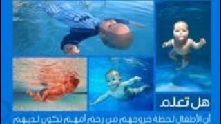 معلومات تهمك معرفتها