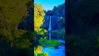 Beauty of Nature #shorts #shortvideo #short #shortsviral  #shortvideo  #newzealand  #viral #nature