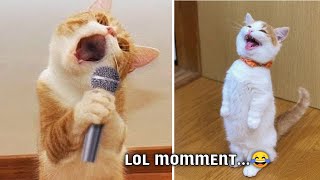 Best Funniest Cat &Dog Videos that will make you laugh out loud  | Daily Cute Pets #2