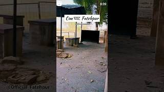 om ghat fatehpur subscribe me friends 🙏🙏#shortvideo #ytshort #mavi bajpai subscribe me