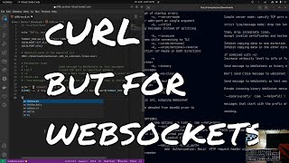 How to cURL but for websockets - Using websocat to perform ws requests via command line