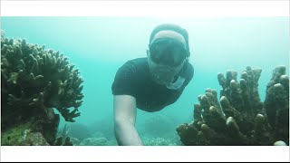 Ujung Kulon Trip | Snorkling & Diving | Pulau Peucang, Pulau Oar, Pulau Badul