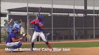 What REALLY Happened Inside the Blue Jays Mini Camp?