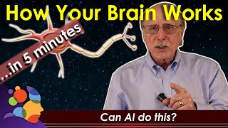 How Your Brain Works...in 5 minutes  (Can AI do this?)