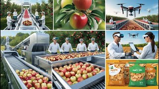 Apple Harvesting Secrets: How Farmers Grow Billions of Apples – From Seedlings to Harvest