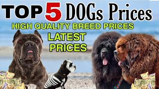 TOP 5 DOGS PRICES | HIGH QUALITY BREEDS PRICES | Taju Logics