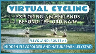 Fietsroute Midden-Flevopolder en Natuurpark Lelystad | Virtueel Fietsen