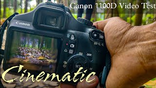 Canon 1100D Video Test With 18-55 Lens || Cinematic Video