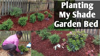 Planting  UP MY Shade Garden Bed🪴🌱