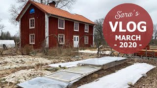 Potatoes, blueberry cuttings and pruning – My March vlog