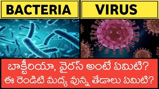 What are BACTERIA  & VIRUS in Telugu| Differences between bacteria and virus| How do they work |