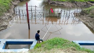 Dapat banyak jenis ikan rawa yang bersarang di bendungan pinggir tanggul