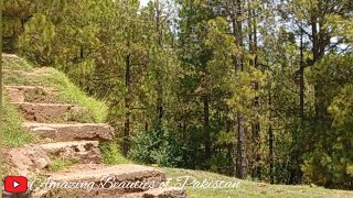 Beautiful Place to Visit in Pakistan | Beautiful Weather of Murree | Nature's Beauty July 2023