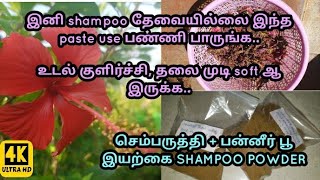 இனி shampoo தேவையில்லை இந்த paste try பண்ணி பாருங்க l செம்பருத்தி பன்னீர் பூ இயற்கை shampoo powder