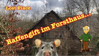 Lost Places | Rattengift?? Das alte Haus verborgen im Wald.