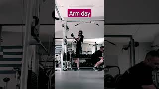 arm day at the gym #shorts #armday