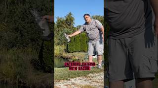 Fishing With BACON - HOW TO Catch Catfish!! 🎣🐟🥓 #shorts #fishing