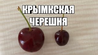 Крымская черешня. Как я её выбираю