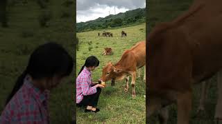 Beautiful Girl Making Food | Asian Food At Plantation #49