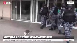 У полковника взяточника нашли валюту на 8 млрд рублей