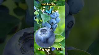 fruit funplay/blueberry 🫐#blueberry #fruit #funplay #split #shorts #youtubeshorts