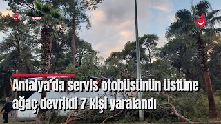 Antalya'da servis otobüsünün üstüne ağaç devrildi 7 kişi yaralandı