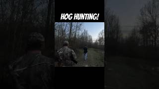 Hog hunting 👌 #hunt #hunting #fish #deer #wildpig #fishing #fyp #deerhunting #hoghunting #bass