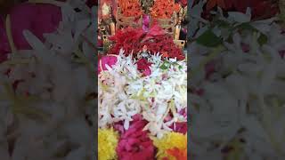 Maha Lakshmi Pooja with Kanakadhara stotram #kanakadharastotram #lakshmidevi #lakshmipuja #lakshmi