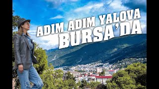 ADIM ADIM YALOVA BURSA'DA