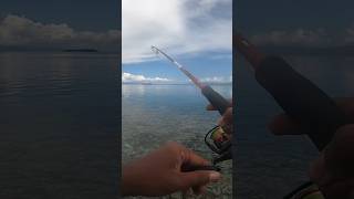 Casting Di karang dangkal | Ultralight Fishing