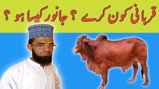 Qurbani ka janwer kesa ho? kis per wajib hy? kia sharaet hain?