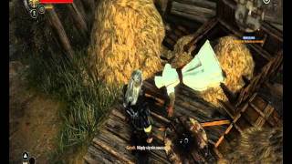 Wiedźmin 2 : Assassin's Creed Easter Egg PL