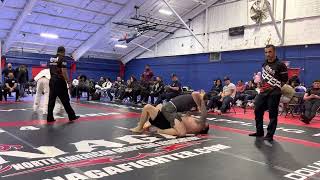 BJJ expert division absolute finals