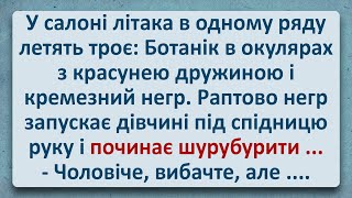 💠 Дружина Ботаніка та Кремезний Негр у Літаку! Українські Анекдоти та Українською! Епізод #299