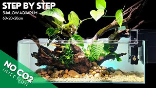 Full AQUASCAPE Step by Step TUTORIAL | NO CO2 Shallow AQUARIUM