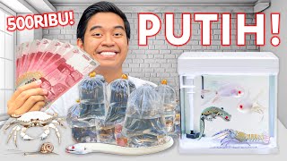 BELI SEMUA HEWAN APAPUN DAN KANDANGNYA SERBA PUTIH SEHARGA RP 500.000!