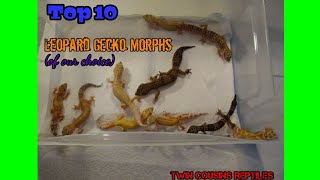 The top 10 Leopard gecko morphs (my 10 choices)