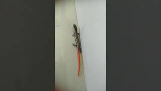 Variety model Skink (Arana) #shorts #malayalam #jinoaugustin