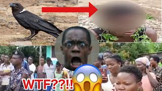 Shocking! Bird Turns Into Human In Broad Day Light At Gomoa Mampong #ghananews #ghananewstoday